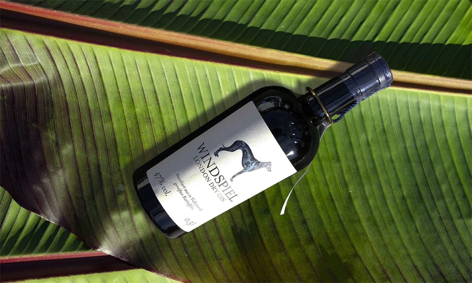 Windspiel-LondonDry_liegend